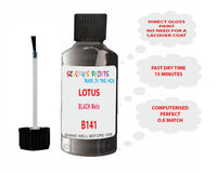 Lotus Other Models Black Mets Paint Code B141