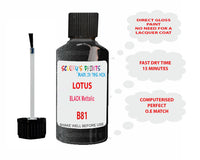 Lotus Other Models Black Mettalic Paint Code B81