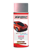 Lotus Blossom Grey Aerosol Spray Paint Code 03E Basecoat Spray Paint