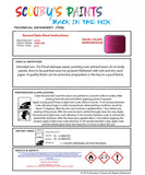 Instructions For  Use Lotus Elise Candy Red Car Paint