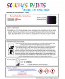 Instructions For  Use Lotus Other Models Deep Purple Car Paint