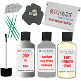 Lotus Grey Car Detailing Paint And Polish Finish Kit