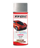 Lotus Light Grey Aerosol Spray Paint Code 8974 Basecoat Spray Paint