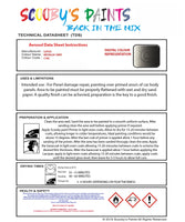 Instructions For  Use Lotus Elise Metallic Grey Car Paint