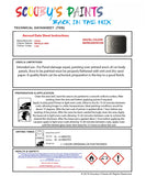 Instructions For  Use Lotus Elise Metallic Grey Car Paint