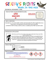 Instructions For UseLotus Lotus  Touch Up Paint