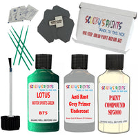 Lotus Motor Sports Green Car Detailing Paint And Polish Finish Kit