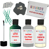 Lotus Racing Green B29 Car Detailing Paint And Polish Finish Kit