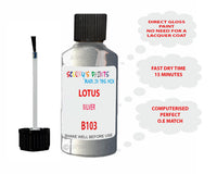 Lotus Other Models Silver Paint Code B103