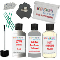 Lotus Silver Frost Car Detailing Paint And Polish Finish Kit