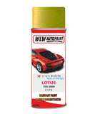 Lotus Toxic Green Aerosol Spray Paint Code C173 Basecoat Spray Paint