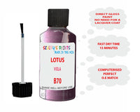 Lotus Other Models Viola Paint Code B70