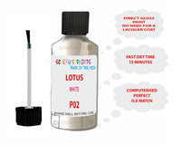 Lotus Other Models White Paint Code P02