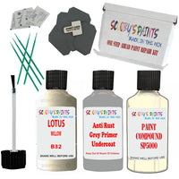 Lotus Willow Car Detailing Paint And Polish Finish Kit