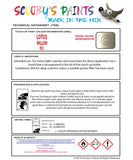 Instructions For UseLotus Other Models  Touch Up Paint