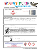 Instructions for use MG All Models Touch Up Paint