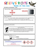 Instructions for use MG All Models Touch Up Paint