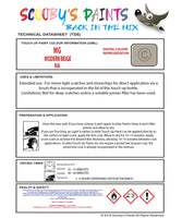 Instructions for use MG Cyberster Touch Up Paint