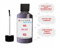 Mg Rose Violet Paint Code: Ksa