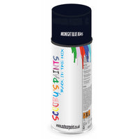 Mixed Paint For Austin Maxi Midnight Blue Bu45 Aerosol Spray A2