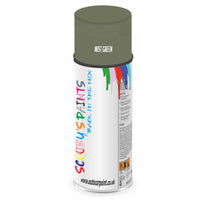 Mixed Paint For Mg Mgc Mist Green Aerosol Spray A2