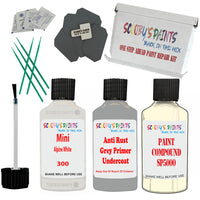 Mini Alpine White Car Detailing Paint and polish finishing kit