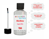 Mini Capparis White Paint Code YB88