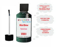 Mini Peridot Green Paint Code WW81