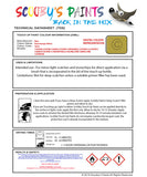 Instructions for use Mini Interchange Yellow Car Paint