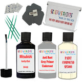 Mitsubishi Amethyst Black Car Detailing Paint and polish finishing kit