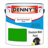 Denny's Emulsion Paint For Walls Colour- Olive Fresh Eucalyptus Green - Matte Wipe-Clean Durable Coverage