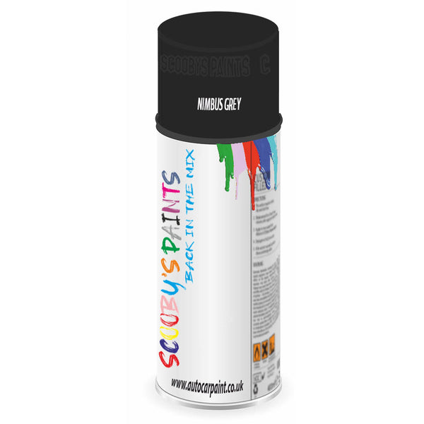 Mixed Paint For Rover Metro Nimbus Grey Aerosol Spray A2