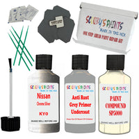 Nissan Chrome Silver Car Detailing Paint and polish finishing kit