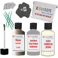 Nissan Grey Metallic Car Detailing Paint and polish finishing kit