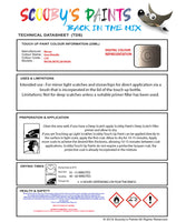 Instructions for use Nissan Grey Metallic Car Paint