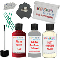 Nissan Magnetic Red Car Detailing Paint and polish finishing kit