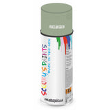 Mixed Paint For Austin Metro Porcelain Green Aerosol Spray A2