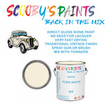 Morris Marina 206 Vintage Classic Car Paint for restoration White Original Cellulose Paint used, Perfect Mix for PURE WHITE