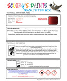 Instructions for use Peugeot Wicked Red Car Paint