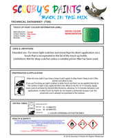 Instructions for use Renault Alien Green Car Paint