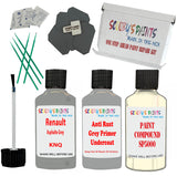 Renault Asphalte Grey Car Detailing Paint and polish finishing kit