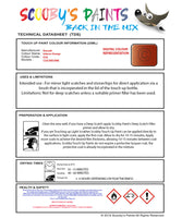 Instructions for use Renault Inferno Orange Car Paint