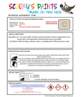 Instructions for use Renault Ivory White Car Paint