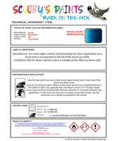 Instructions for use Renault Mondial Blue Car Paint