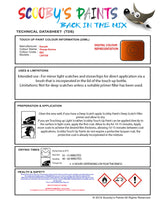 Instructions for use Renault Orange Arizona Car Paint