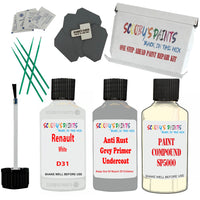 Renault White Car Detailing Paint and polish finishing kit