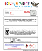 Instructions for use Renault White Car Paint