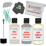 Rover Old English White Car Detailing Paint and polish finishing kit