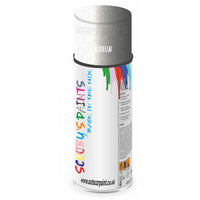 Mixed Paint For Rover 800/Sd1 Silver Leaf Aerosol Spray A2