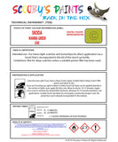Skoda Octavia Rs Mamba Green Lg6E Health and safety instructions for use